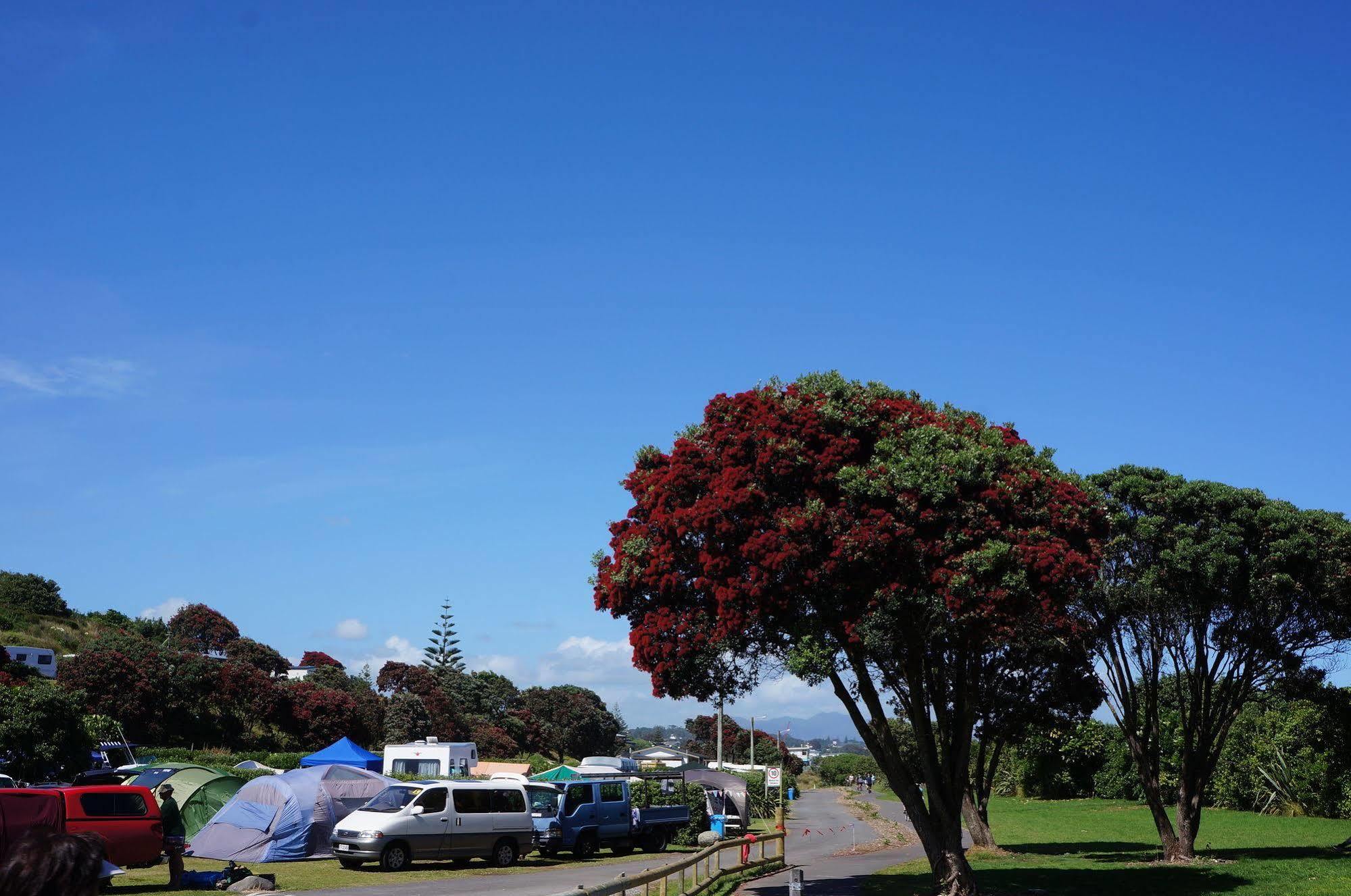 Fitzroy Holiday park